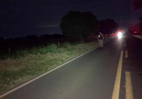 Motociclista morre e passageiro fica ferido após grave acidente com animais na AMG 1405