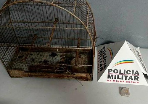 Morador encontra vazamento de água e descobre que cavalete e hidrômetro haviam sido furtados