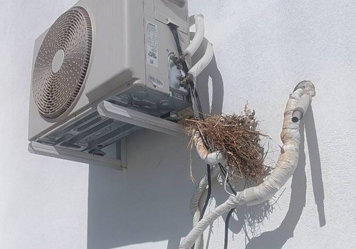 Homem é flagrado tentando furtar canos de cobre de ar condicionado da Associação Esperança Azul