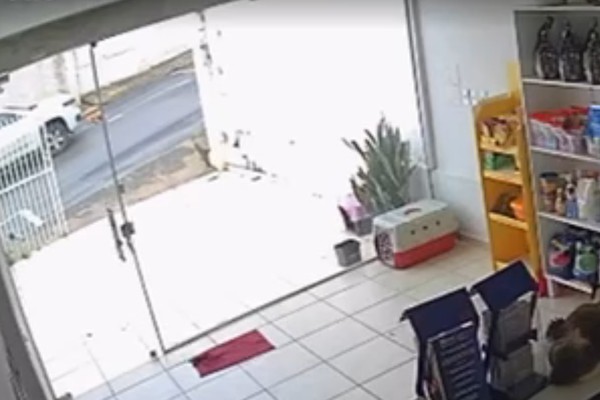 Imagens mostram caminhonete atropelando cadela deitada no Centro; fazendeiro foi preso em flagrante