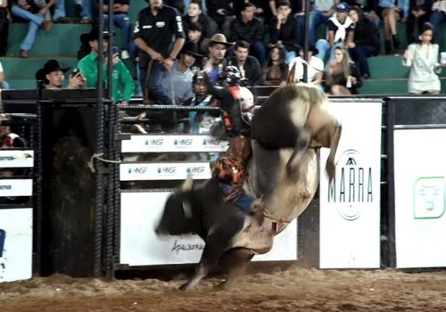 Peão sai vibrando e chamando o público da Fenamilho após segurar o touro; veja ao vivo
