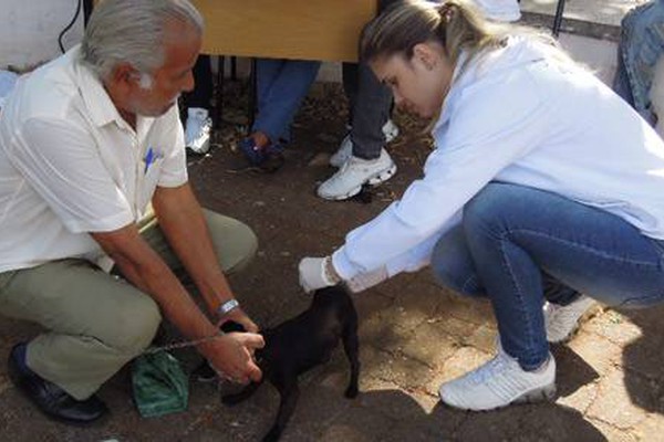 Centro de Zoonoses abre 13 postos no encerramento da vacinação contra a raiva