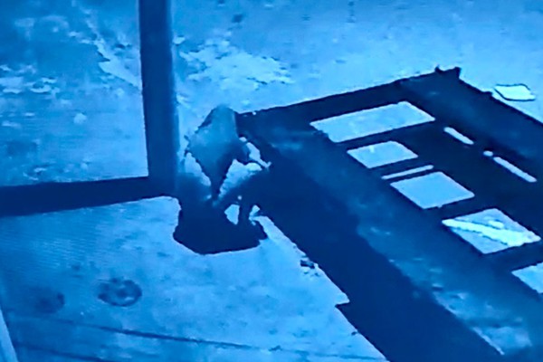 Imagens mostram larápio furtando carretinha no bairro Cidade Nova em Patos de Minas; veja