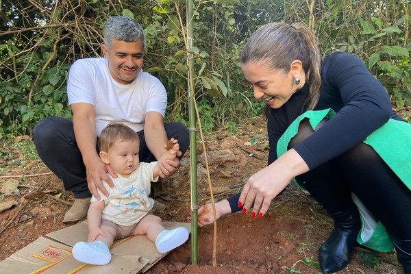 Patos de Minas celebra o Dia Mundial do Meio Ambiente com plantio de mudas de Ipês