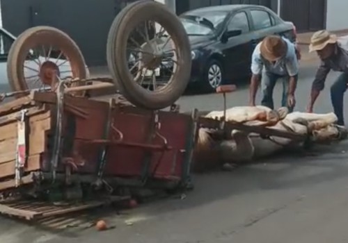 Homem furta carroça, capota na fuga e abandona o animal caído em Lagoa Formosa