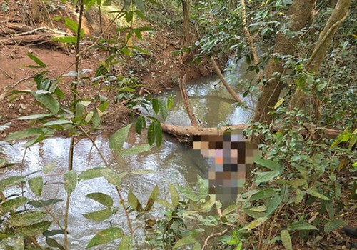Corpo em avançado estado de decomposição é encontrado às margens de córrego em Patos de Minas
