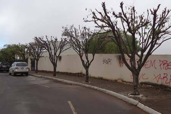 Diretoria de Meio Ambiente fiscaliza e orienta para a forma correta de podar árvores