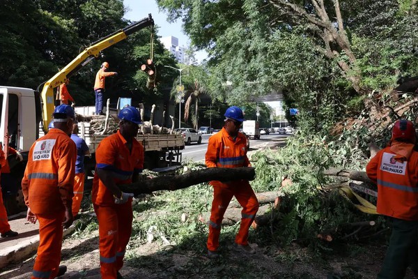 Após ventania, São Paulo tem 1,5 milhão de clientes sem energia