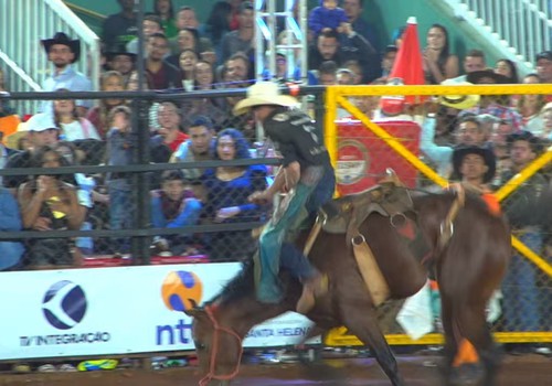 Peão dá show e levanta o público para garantir 1ª colocação no Rodeio Fenamilho; veja ao vivo