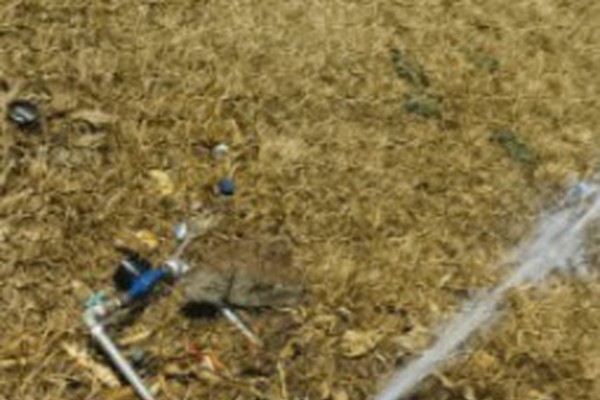 Fazer mídia: jovem foge em moto sem placa e destrói hidrômetro público em Patos de Minas