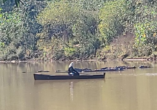 PM de Meio Ambiente flagra pesca ilegal no Rio Abaeté, prende pescador e lavra multas de mais de R$80 mil
