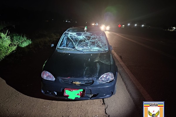 Motorista atropela égua e animal tem que ser sacrificado na MG 190