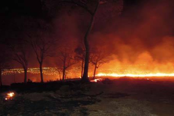 Queimadas deixam rastro de destruição em Patos de Minas no fim de semana
