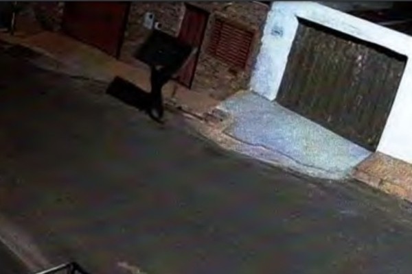 MP denuncia homem que foi flagrado carregando TV da sede da Máfia Azul em Patos de Minas