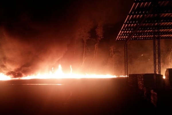 Incêndio em Viveiro de Mudas mobiliza todo o efetivo dos Bombeiros em Patos de Minas