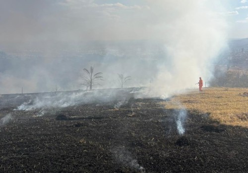 Corpo de Bombeiros combate diversos incêndios em vegetações e orienta população