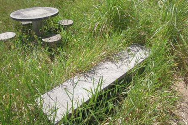 Moradores do Jardim Paulistano reclamam do mato que toma conta das praças