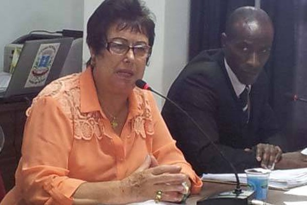 Edimê Avelar é eleita a nova presidente da Câmara Municipal de Patos de Minas