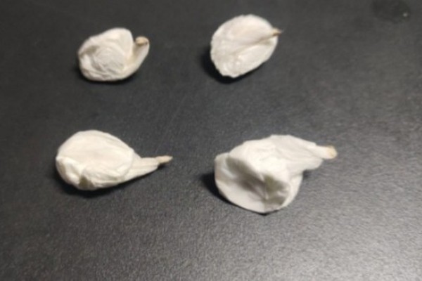 Justiça manda prender acusado de ameaçar a ex e policiais encontram droga e simulacro de arma