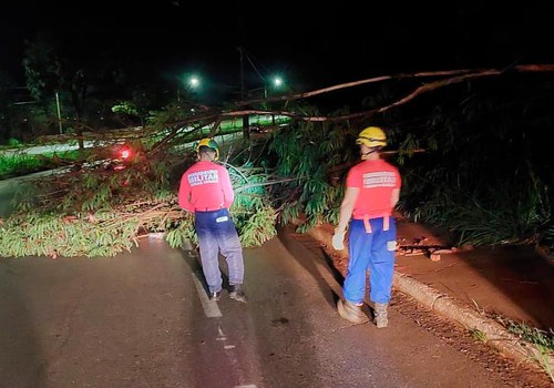 Temporal de ontem provocou alagamentos, queda de árvore e mobilizou bombeiros e Defesa Civil
