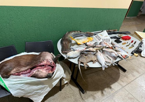 Polícia de Meio Ambiente apreende armas, munições e mais de 70 quilos de pescado irregular em operações na região