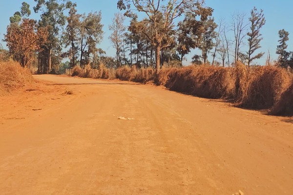 Faltando 7 meses para o fim do prazo, estrada de Alagoas ainda não tem nem sinal de asfalto