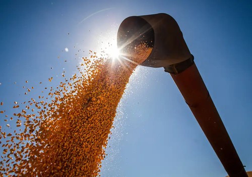 Brasil poderá ter novo recorde na produção de grãos na safra 2024/2025