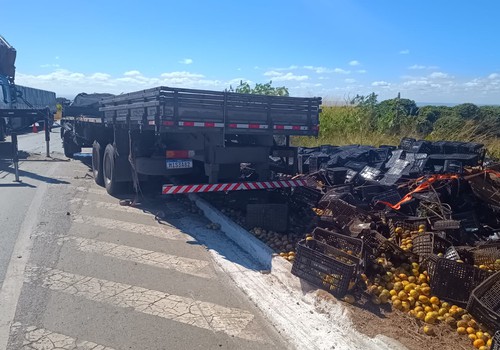 Caminhão carregado com mexericas capota na BR 146 e tira a vida de motorista de 50 anos