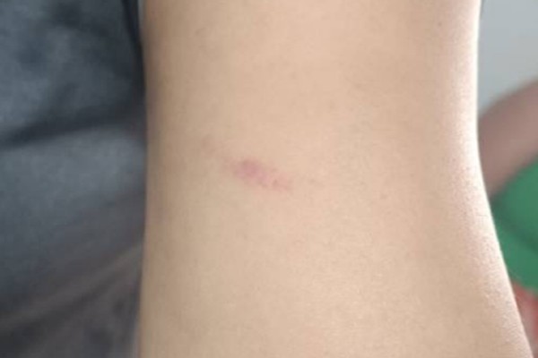 Briga em frente a escola termina com três pessoas detidas por lesão corporal em Patos de Minas