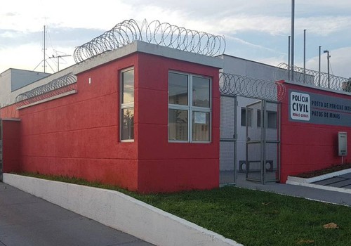 Idoso de 82 anos morre após cair de pé de abacate de cerca de 12 metros de altura