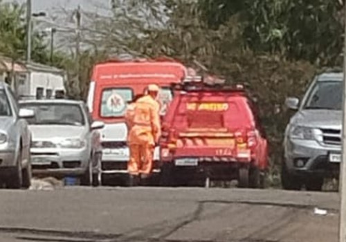 Ataque de cães da raça pitbull deixa casal ferido em Patos de Minas; animais foram levados pro Centro de Zoonoses