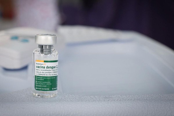 Vacina brasileira contra a dengue mantém eficácia por até 5 anos