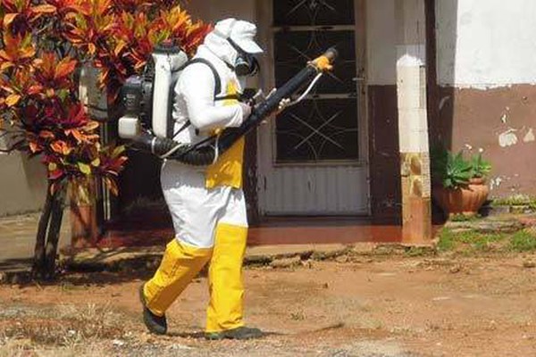 Patos de Minas já tem cerca de 500 casos de dengue notificados e situação preocupa
