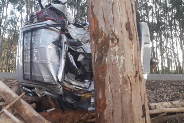 Motorista embriagado é preso após tentar desviar de caminhão e atingir violentamente eucalipto