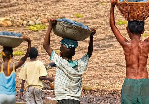 Mais de 6 mil crianças são resgatadas do trabalho infantil em 2 anos