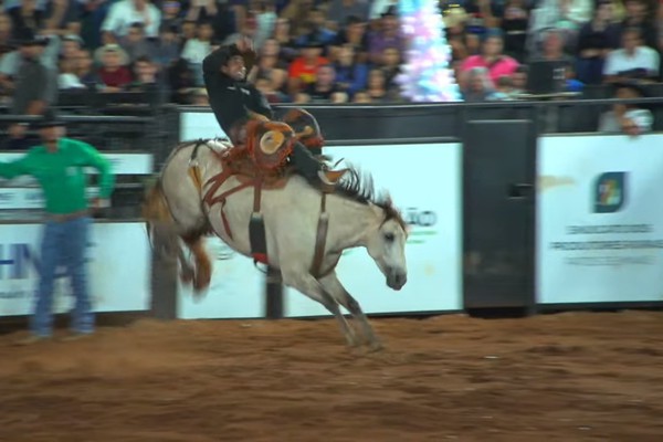 Atual campeão do Rodeio Fenamilho controla animal e garante liderança; veja ao vivo