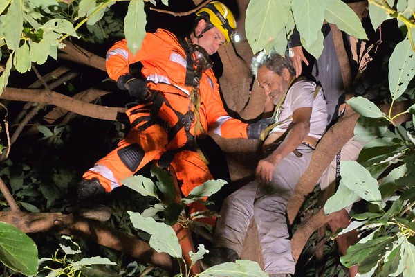 Bombeiros resgatam senhor que subiu em goiabeira e não conseguiu descer em Patos de Minas