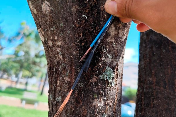 Decoração de Natal é alvo de furtos e vandalismo e causa revolta em Patos de Minas