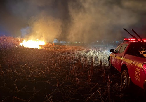Incêndio em vegetação destrói cerca de 16 hectares de área verde em Patos de Minas