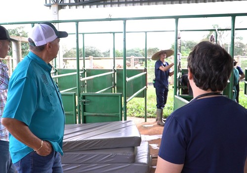 Programa de Agro TV do Panamá grava episódio no Unipam; instituição recebe alunos panamenhos