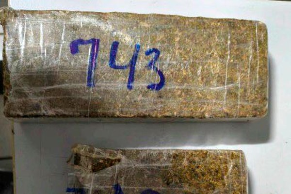 Motorista de aplicativo é preso com drogas e diz que vendia para complementar renda