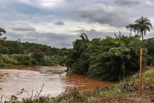 Estudo detecta presença de metais na urina de crianças em Brumadinho
