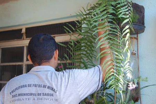 Combate à Dengue visita 4 mil domicílios para avaliar infestação da dengue na cidade
