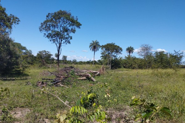 PC indicia ex-prefeito de Varjão de Minas, Walter Pereira Filho, por crime ambiental