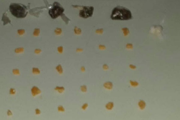 Garoto com passagens policiais é apreendido com dezenas de pedras de crack e buchas de maconha em São Gotardo