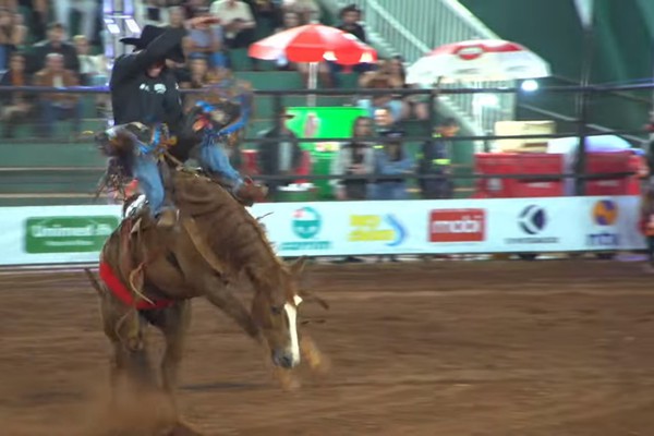Alô João... Peão vai até o pescoço do cavalo e consegue voltar de forma impressionante; veja ao vivo