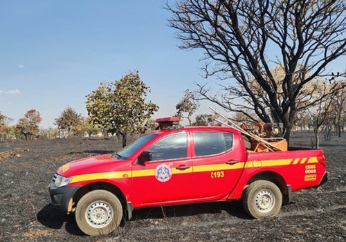 Incêndios se multiplicam e queimam vários hectares e até casa em Patos de Minas