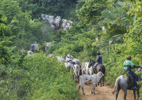 Operação em terra indígena no Pará resulta em mais um assassinato