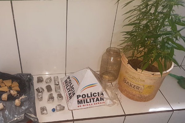 PM apreende menores com pé de maconha, vários tabletes da droga e pedras de crack 