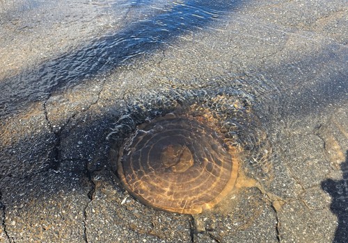 Desperdício! Água limpinha jorra há cerca de uma semana em rua de Patos de Minas